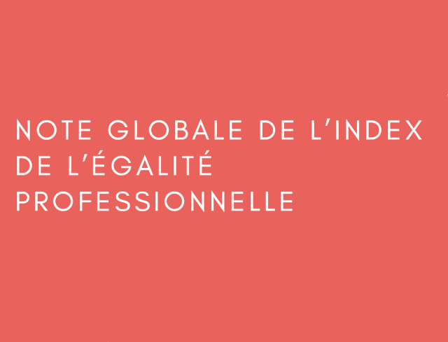 Index égalité professionnelle 2024